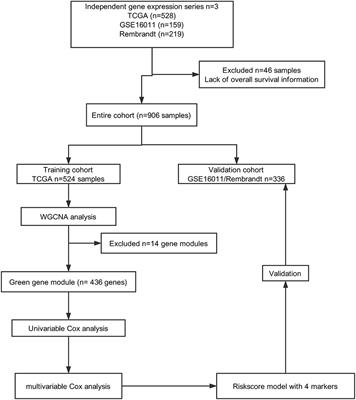 Identification of a Specific Gene Module for Predicting Prognosis in Glioblastoma Patients